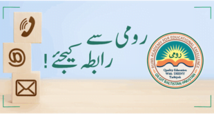رومی اکیڈمی رابطہ